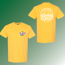 Lakeview Bright Fight Softstyle Tee